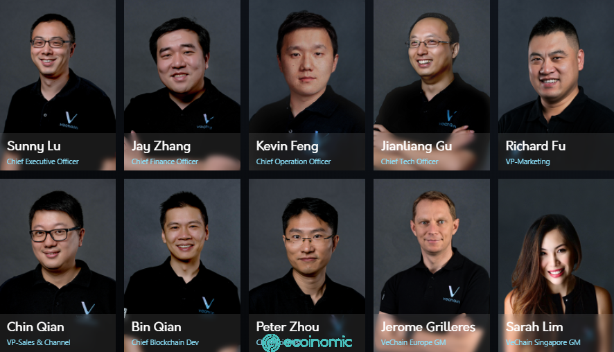 Vechain 