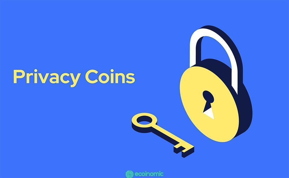 What are Privacy Coins? Is Private Coin legal? The Ecoinomic