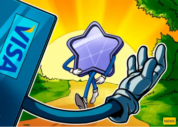 Visa ra mắt chương trình giúp người tham gia xây dựng doanh nghiệp với NFT