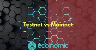 What are testnets and mainnets