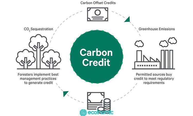 Carbon credits and blockchain