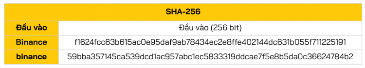 the words "Binance" and "binance" through the SHA-256 hash algorithm