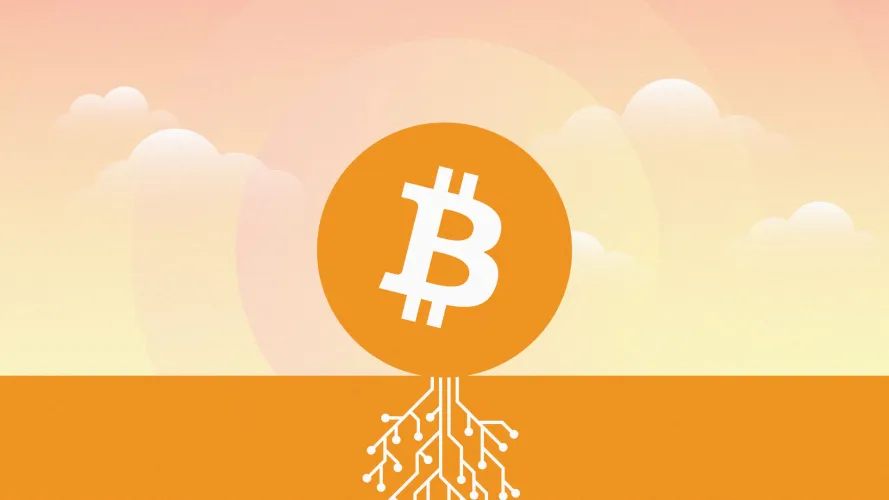 BTC Taproot