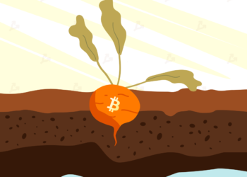 Taproot là gì? Tầm quan trọng của bản nâng cấp Taproot