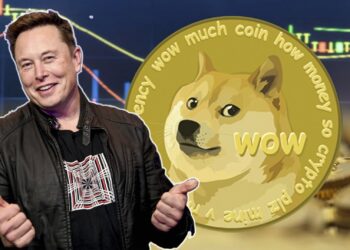 Dogecoin được sử dụng trong nhiều hành vi bất hợp pháp