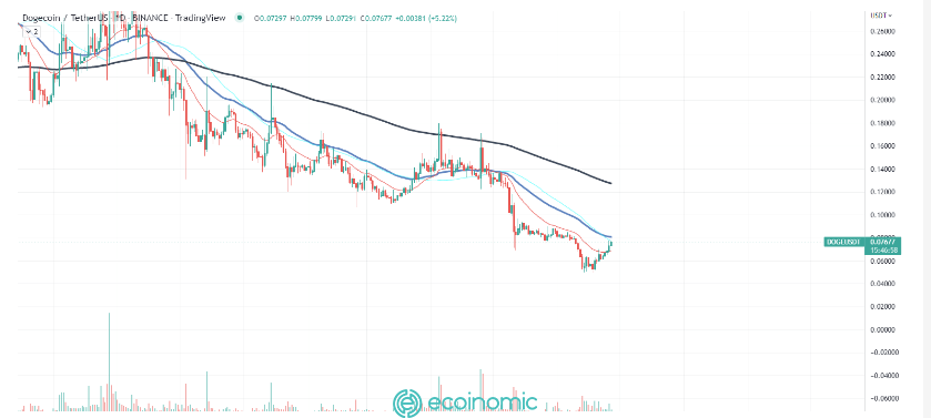 Dogecoin (DOGE) trở thành tài sản sinh lời nhất trên thị trường với mức tăng 13%