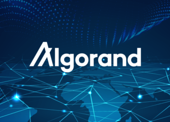 Algorand (ALGO) tranh giành hỗ trợ sau sự cố từ đường hỗ trợ 791 ngày