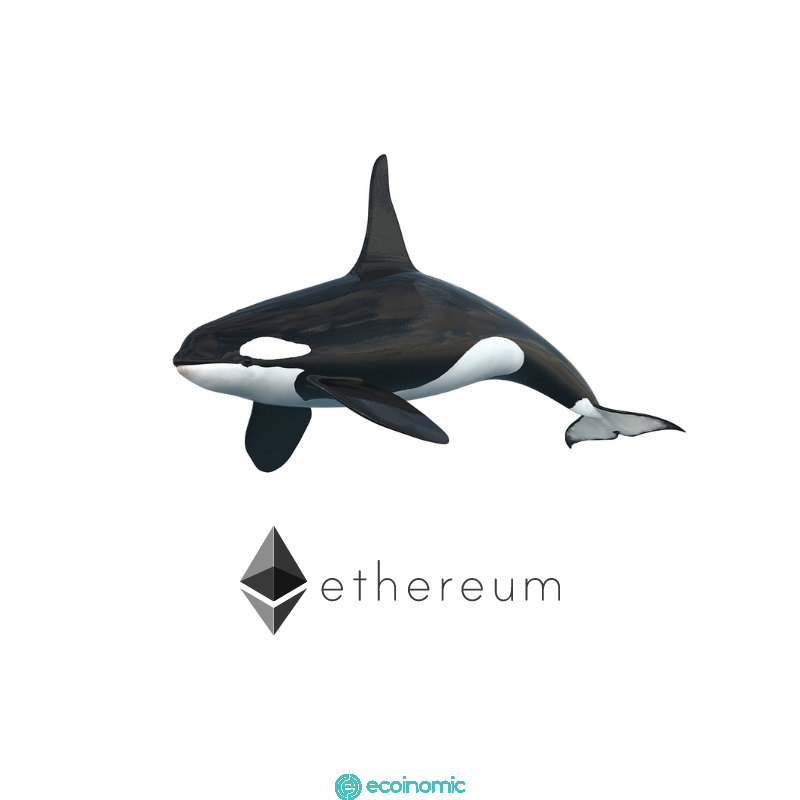 World’s Biggest Ethereum Whales Accumulate Aave, Compound and Four Additional Altcoins