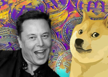 Elon Musk mua DOGE bất chấp giá giảm và mùa đông tiền điện tử
