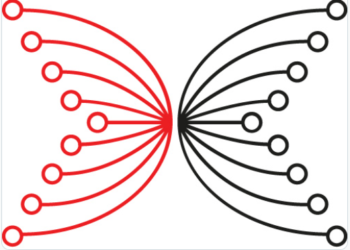 Cardano, Dogecoin, Shiba Inu Post Significant Gains as Traders Envisage ‘Long-Term Breakout’