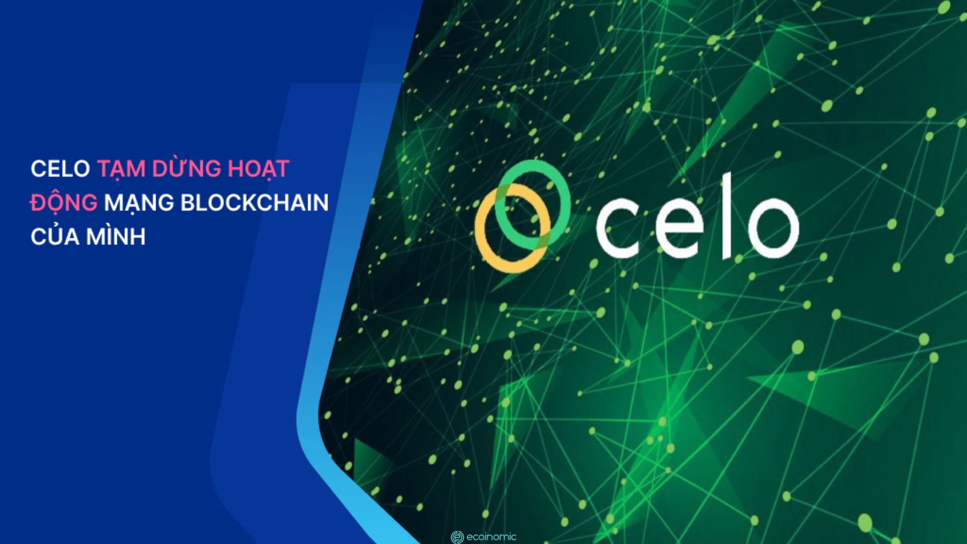 Celo Network đã trở lại sau gần 24 giờ ngừng hoạt động