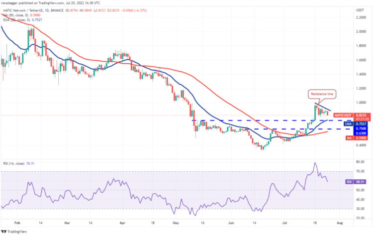 Daily MATIC/USDT Chart