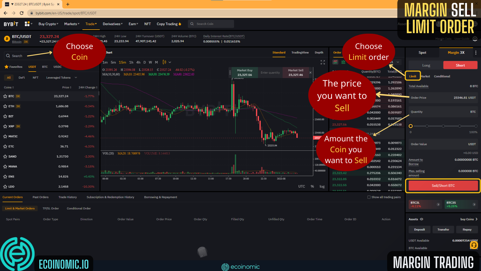 bybit margin