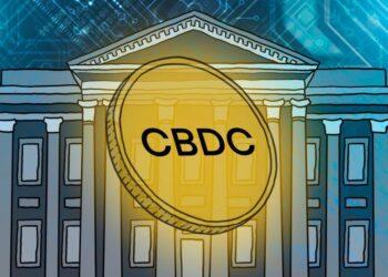 CEO Coinsillium coi CBDC là một "ngách nhỏ" của Bitcoin