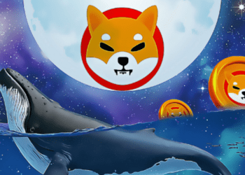 Cá voi SHIB lớn nhất là ai, nắm giữ bao nhiêu?