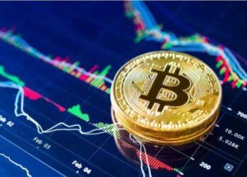 Các nhà đầu tư Bitcoin (BTC) có nên “lấp đầy ví”?