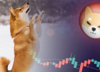 SHIB có thể tăng đến 50% và thoát khỏi mô hình “cup-and-handle”