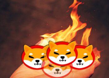 Tỷ lệ đốt SHIB tăng 242,50% khi 133 triệu Shiba Inu bị đốt cháy