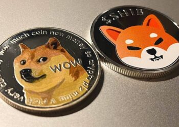 SHIB, DOGE tăng giá nhờ vào hành vi chấp nhận rủi ro của các nhà đầu tư