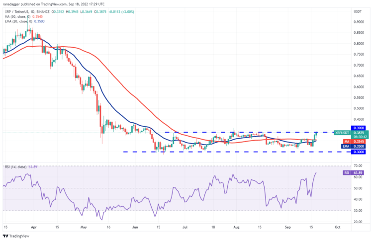 XRP/USDT Daily Chart.