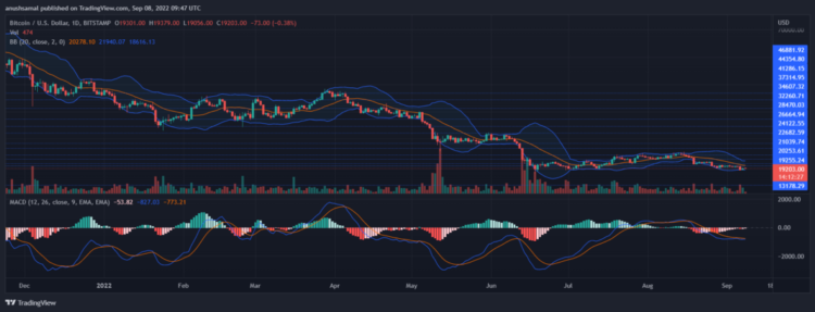 Bitcoin appears sell signal on one-day chart