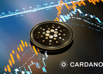 Cardano nang cap