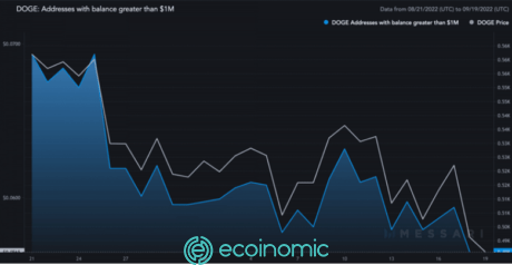 Dữ liệu cộng đồng của Dogecoin giảm