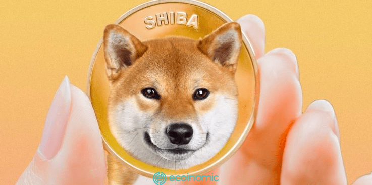 SHIB chiem micro-triview in