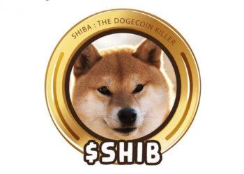 Shiba Inu bị rò rỉ thông tin đăng nhập AWS