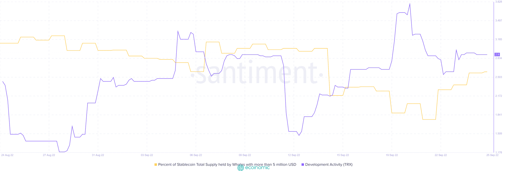 trx stablecoin supply held by whales increases