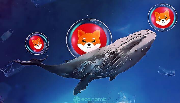 Shiba Inu burn rate ($SHIB) increased by 3,000% due to anonymous whale activity