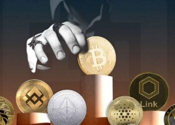 What are meanings of HODL, BUIDL, Hold coin, Trade coin?