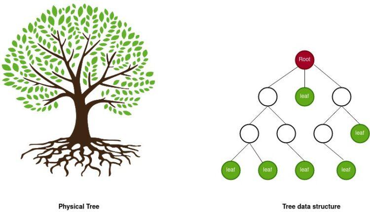 merkle tree dong vai tro quan trong cho su phat trien cua blockchain