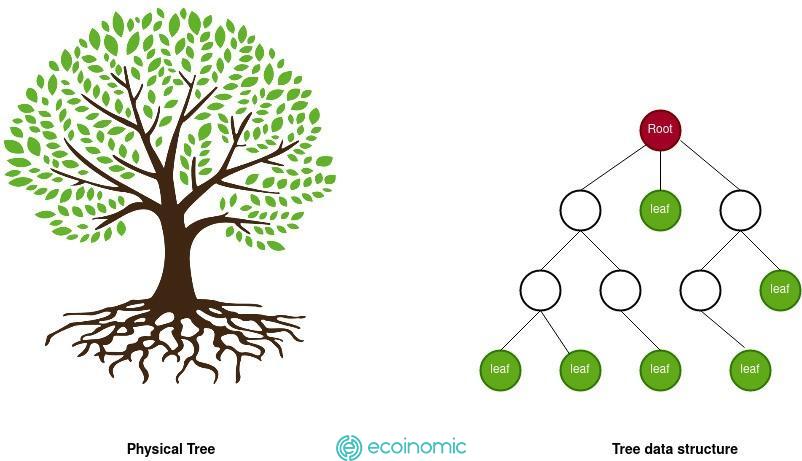 merkle tree dong vai tro quan trong cho su phat trien cua blockchain