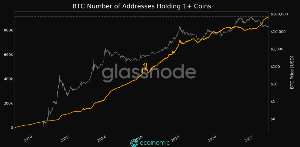 181020221722491666088569073 The Ecoinomic