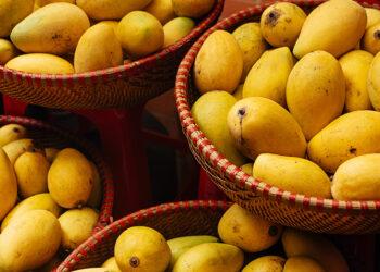 Kẻ tấn công Mango Markets khoe lãi sau khi rug pull đồng shitcoin có tên Mango Inu