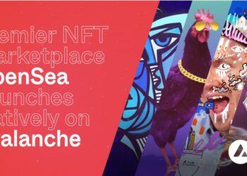 NFT marketplace đầu ngành OpenSea ra mắt hỗ trợ Avalanche