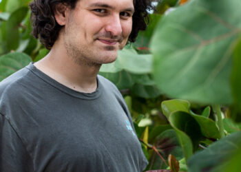 CEO FTX vạch ra lộ trình pháp lý cho ngành crypto – Hứng chỉ trích vì muốn quản lý DeFi