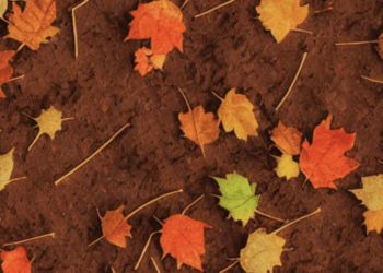 Metaverse platform Mona rolls out new AI tool to help build in online worlds