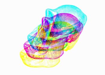 ApeCoin chặn người dùng Bắc Mỹ khỏi sản phẩm staking APE sắp được ra mắt