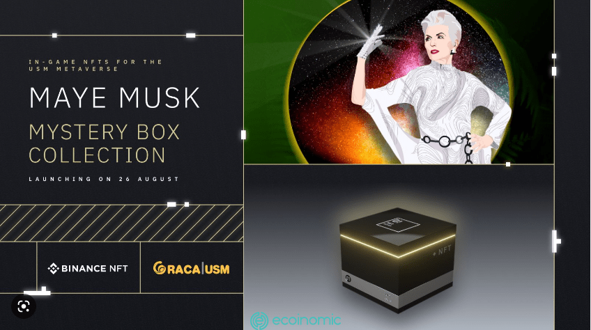 Maye Musk Mystery Box