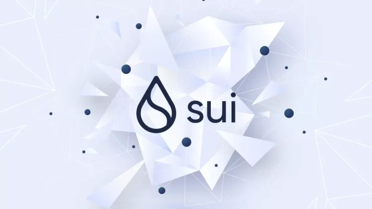 Projects with potential airdrop on Sui Blockchain