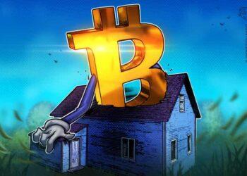 Các chỉ số cho thấy Bitcoin sắp tạo đáy, liệu giá BTC có phục hồi?