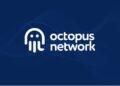 Octopus Network hệ Near sa thải 40% nhân sự nòng cốt