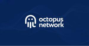 Octopus Network OCT The Ecoinomic